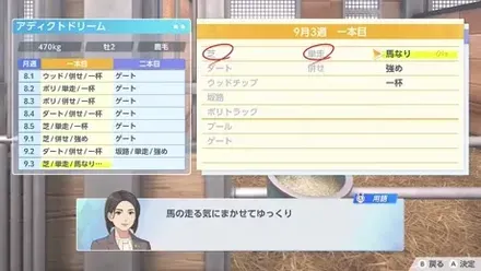 愛馬の調教