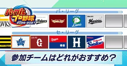 参加チームはどれがおすすめ?