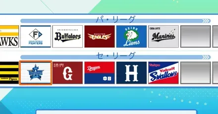 参加チーム