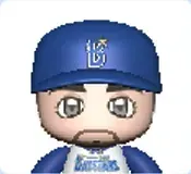 ヒュンメル画像