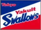 ヤクルト画像