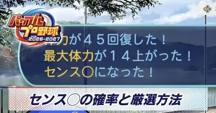 センス◯の確率と厳選方法
