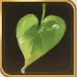 一枚の葉っぱ