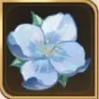 名も知らぬ花