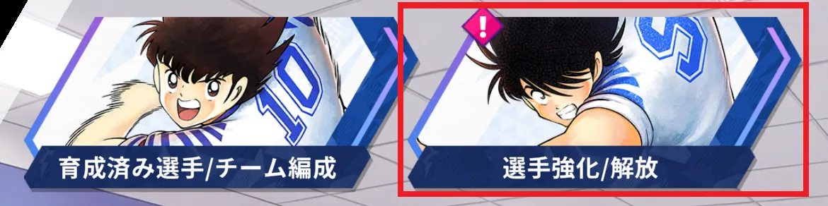 選手強化解放赤囲い