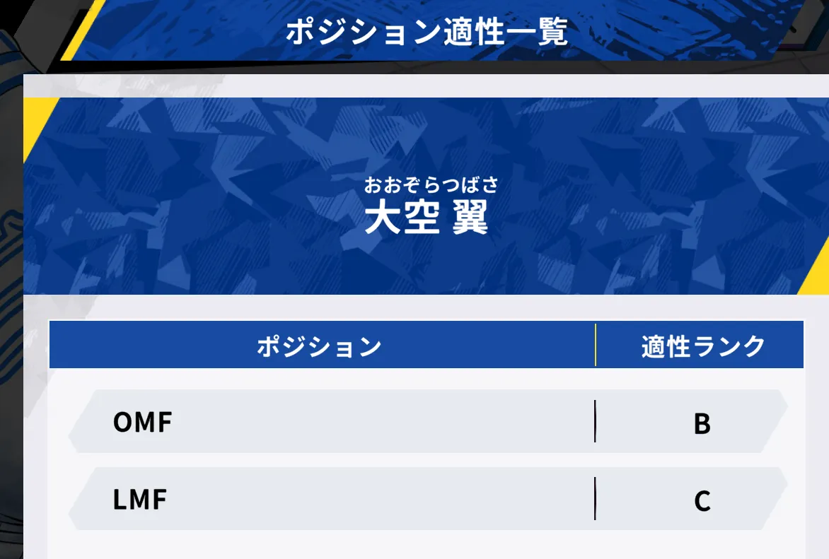 ポジション適正