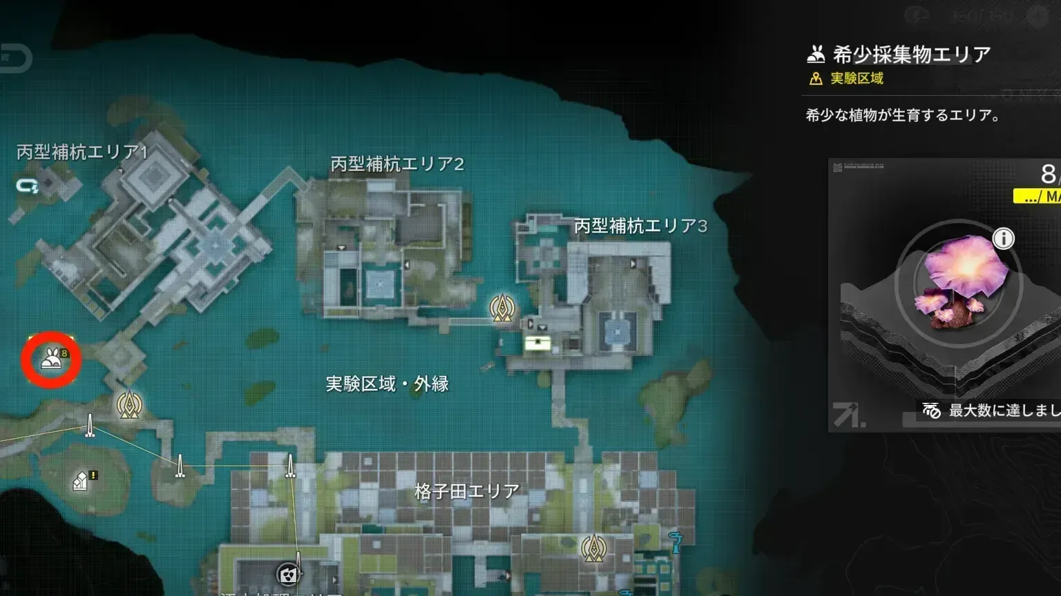 実験区域：丙型補杭エリア1
