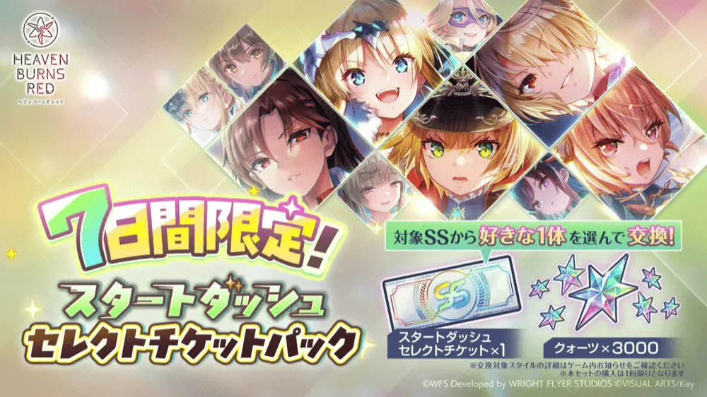 スタートダッシュセレクトチケットパック