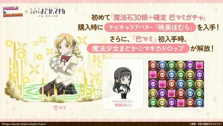マミ確定