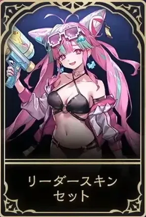 リーダースキン