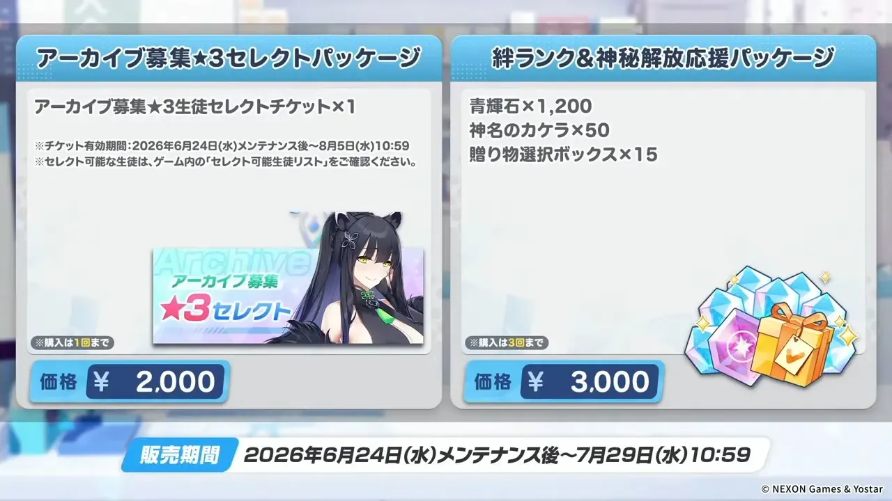 アーカイブ募集パッケージ