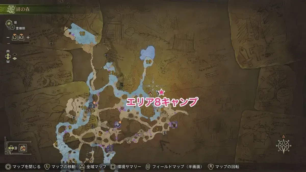 緋の森エリア8キャンプ