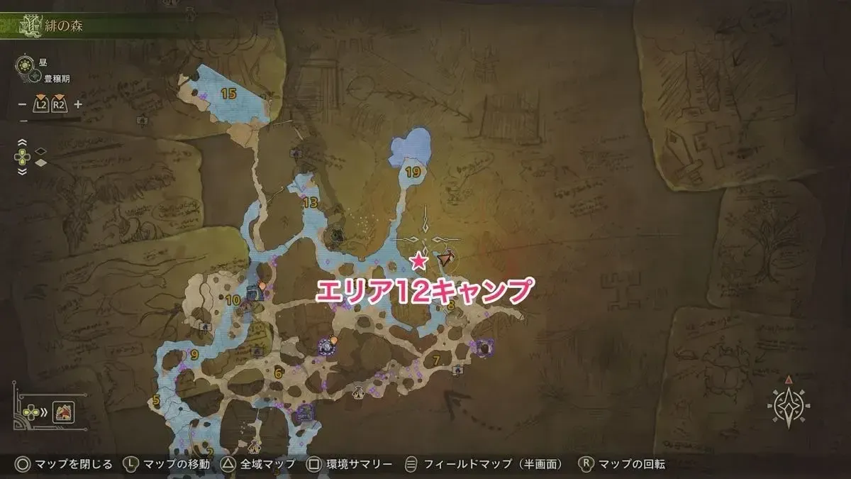 緋の森エリア12キャンプ