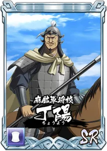 SR丁陽縦長