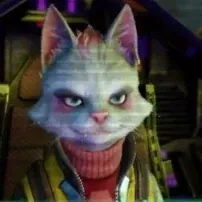 キャット画像
