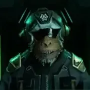 サルデスⅡ：パイロット画像