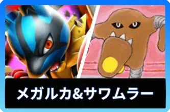 メガルカリオex＆サワムラーデッキ