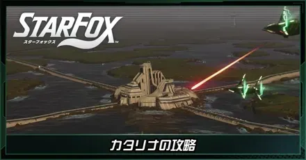 カタリナ画像