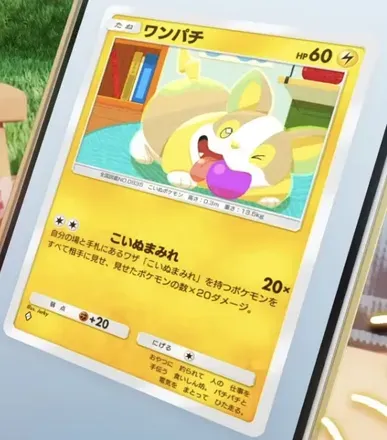 ワンパチ