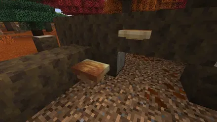 サルノコシカケ