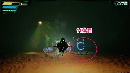 11体目