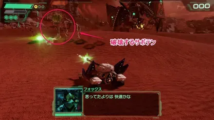 サボテン