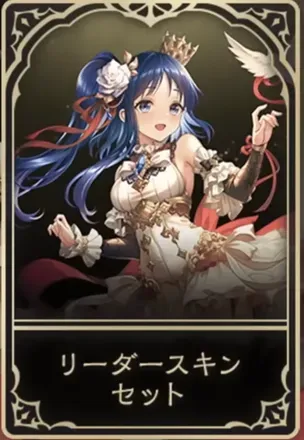 リーダースキン