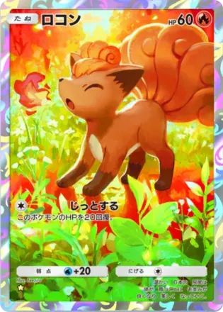 ロコン