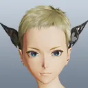 シュヴァルノワールヘアアクセ