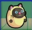 コロコロ行進画像