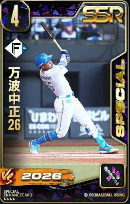万波中正26の画像