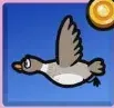 わたり鳥画像
