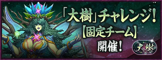 大樹チャレンジ固定チーム