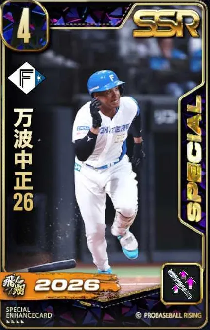 万波中正26・1の画像