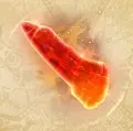 炎獣の烏犀角画像