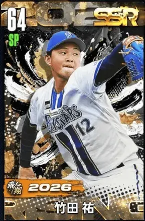 竹田祐（飛翔）の画像