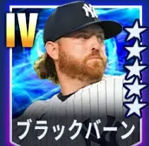 ブラックバーン画像