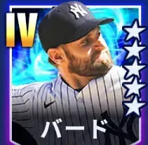 バード画像