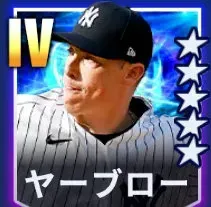 ヤーブロー画像
