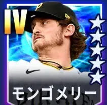 モンゴメリー画像