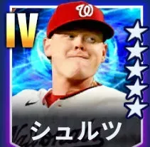 シュルツ画像