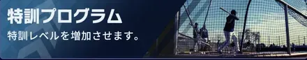 特訓プログラム