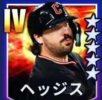ヘッジス画像