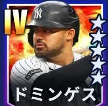 ドミンゲス画像