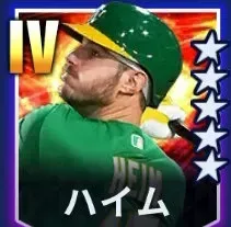 ハイム画像