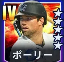 ポーリー画像