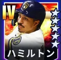 ハミルトン画像