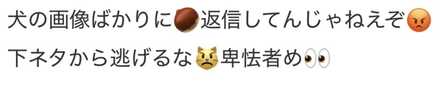 コメント画像