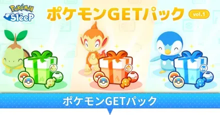 パック情報