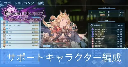 サポートキャラクター編成